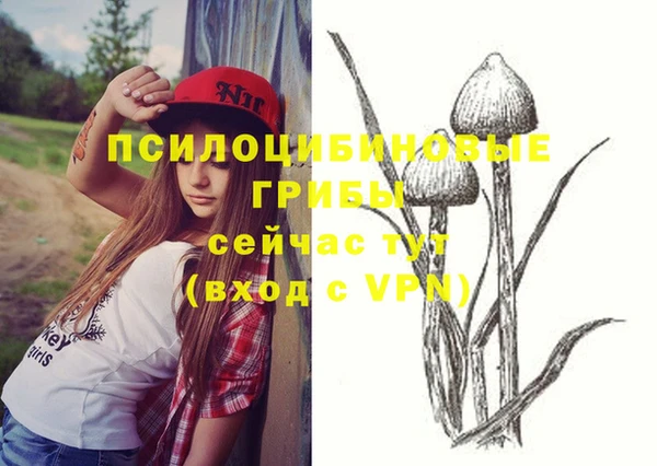 эйфоретик Аркадак