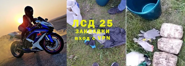 эйфоретик Аркадак