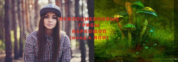 ALPHA PVP Армянск