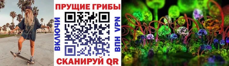 купить закладку  Котельниково  Галлюциногенные грибы прущие грибы 